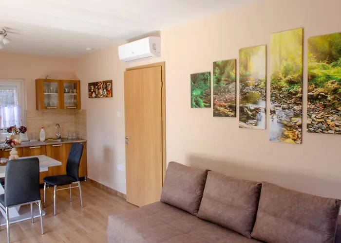 Banki Vendeghaz Holiday home